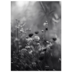 7965a1fe-161a-47d9-bedd-79052451b2cb