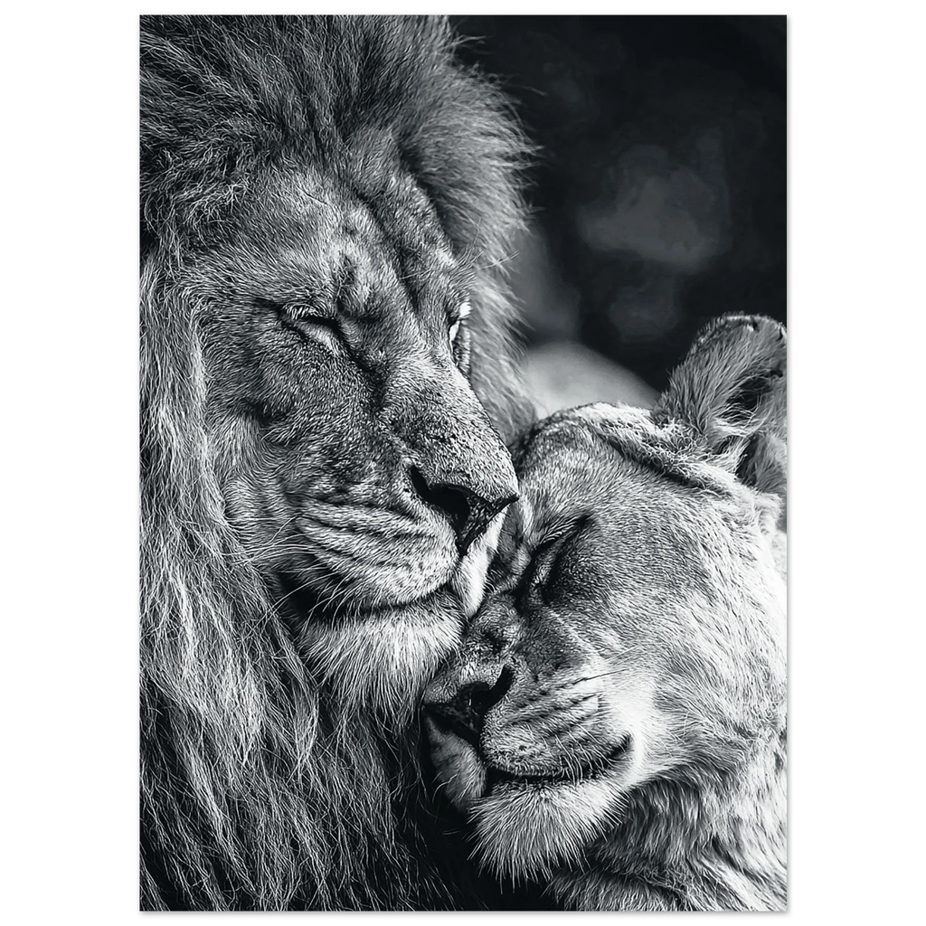 8be676f2-442a-404d-bc86-50a7340999bd