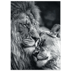 8be676f2-442a-404d-bc86-50a7340999bd