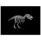 a2bcb720-31ac-45d7-9068-a5fea7fb2def