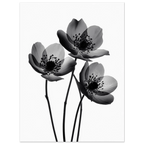 ae95ae15-6ce6-4324-8dc7-bd9e2027da16