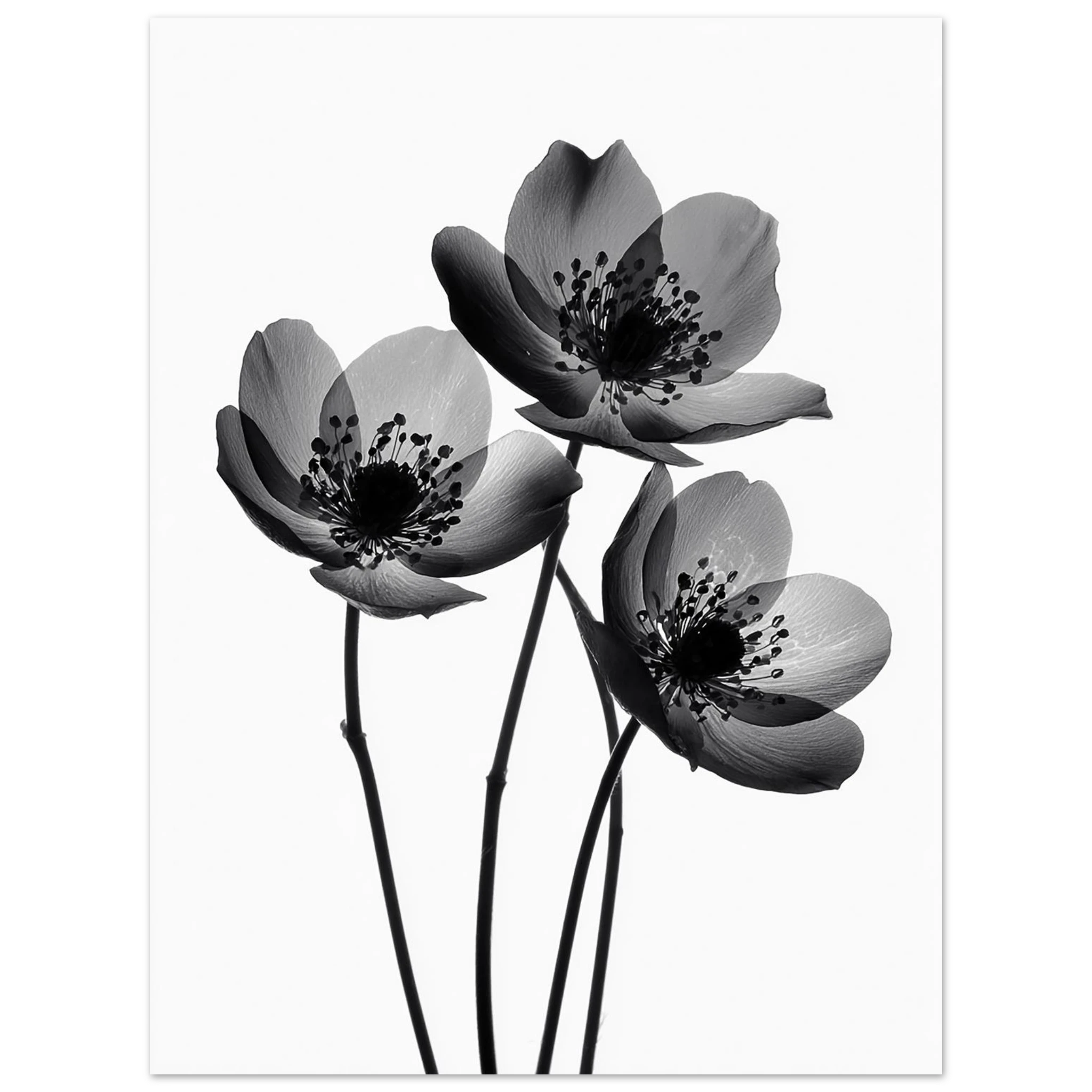 ae95ae15-6ce6-4324-8dc7-bd9e2027da16