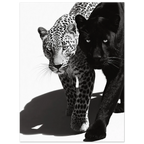 af17181f-d131-4661-9dff-de63da2904b0