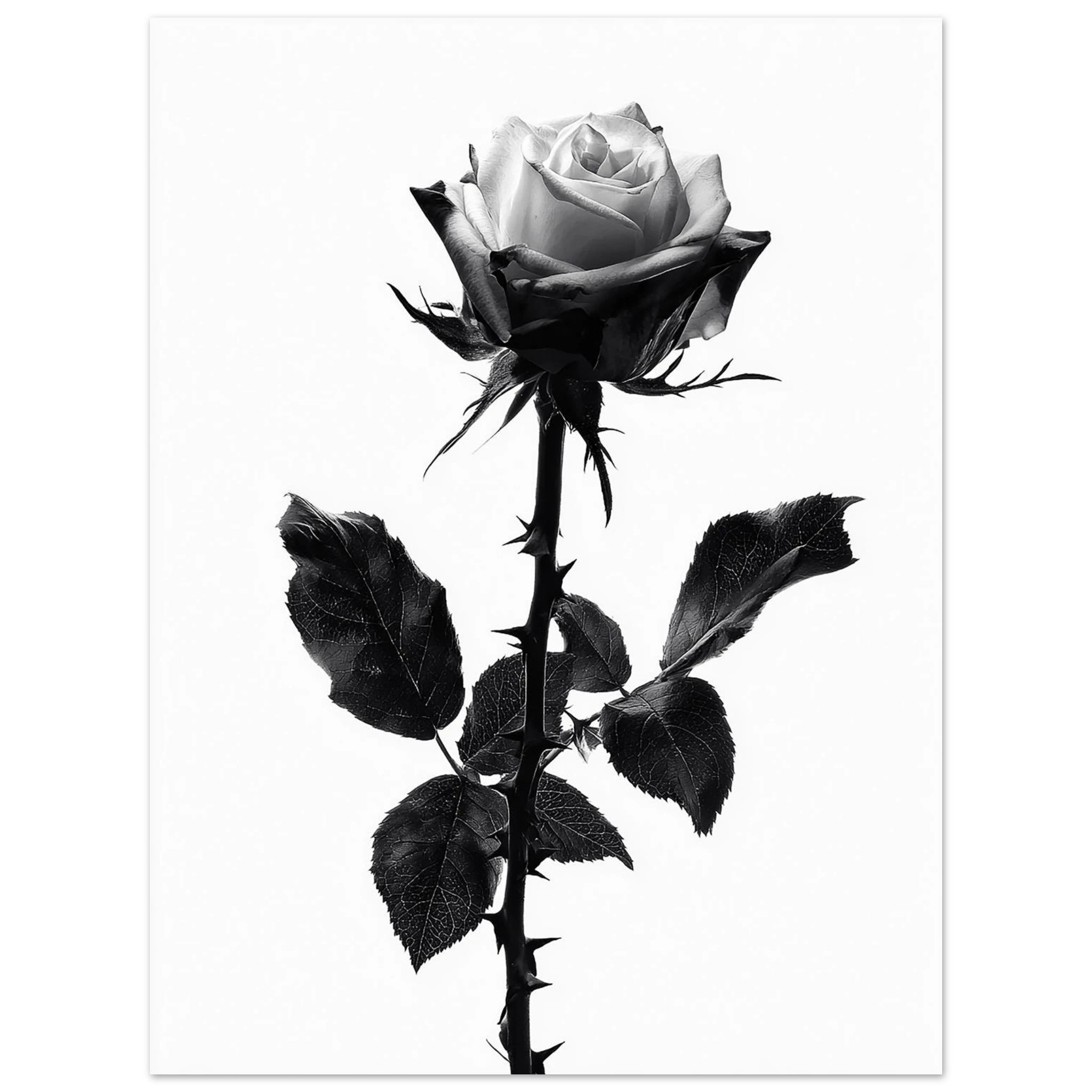 c0c829bf-cd3f-4241-98c2-4c9689cc26d0