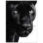 e94c08f5-a9c8-4f7b-bf45-cf1350c97989