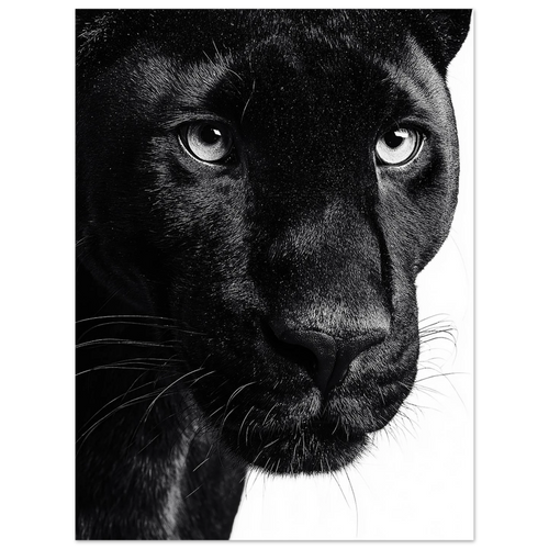 e94c08f5-a9c8-4f7b-bf45-cf1350c97989