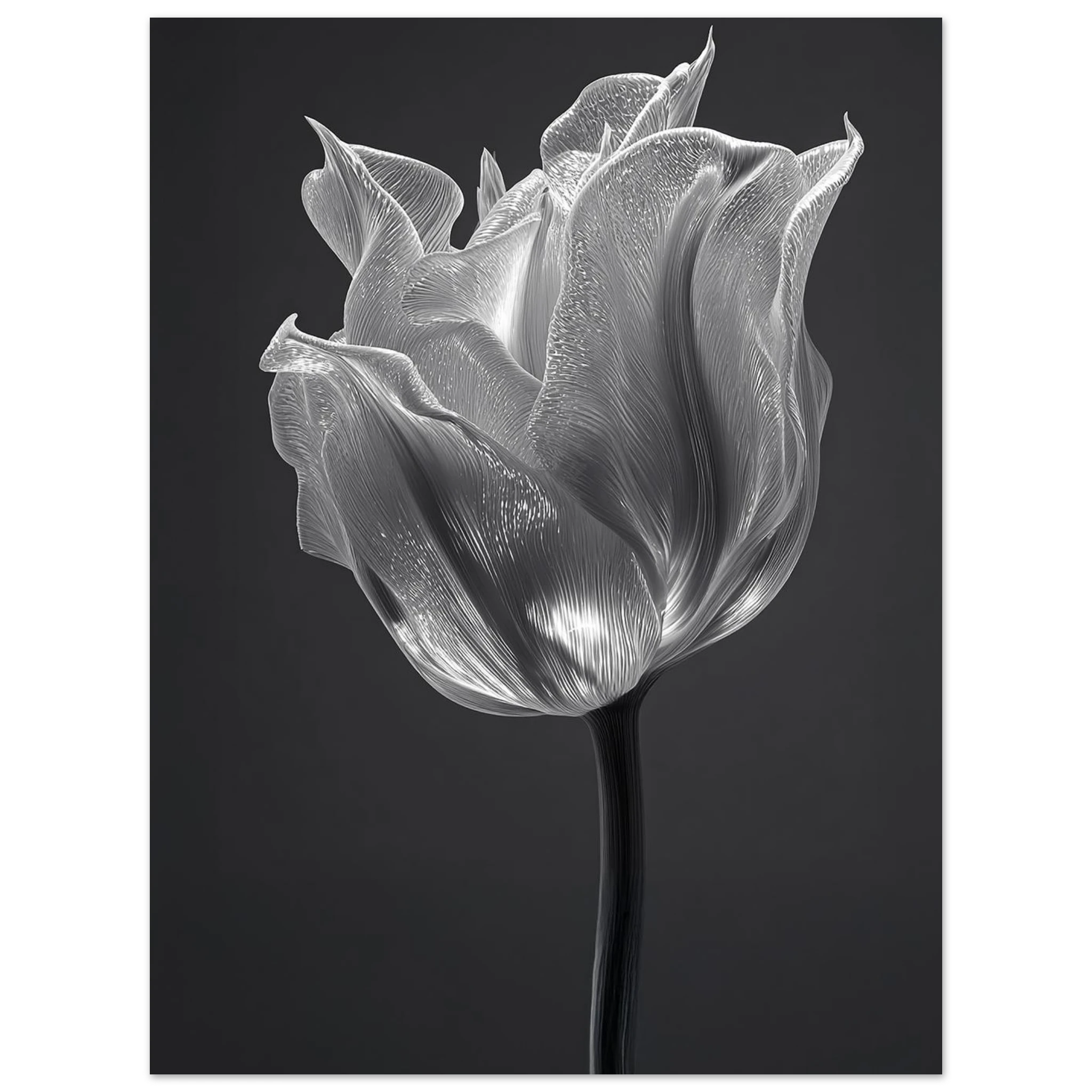 f1592fbc-6ed6-46a5-adfc-6b180f114ab8